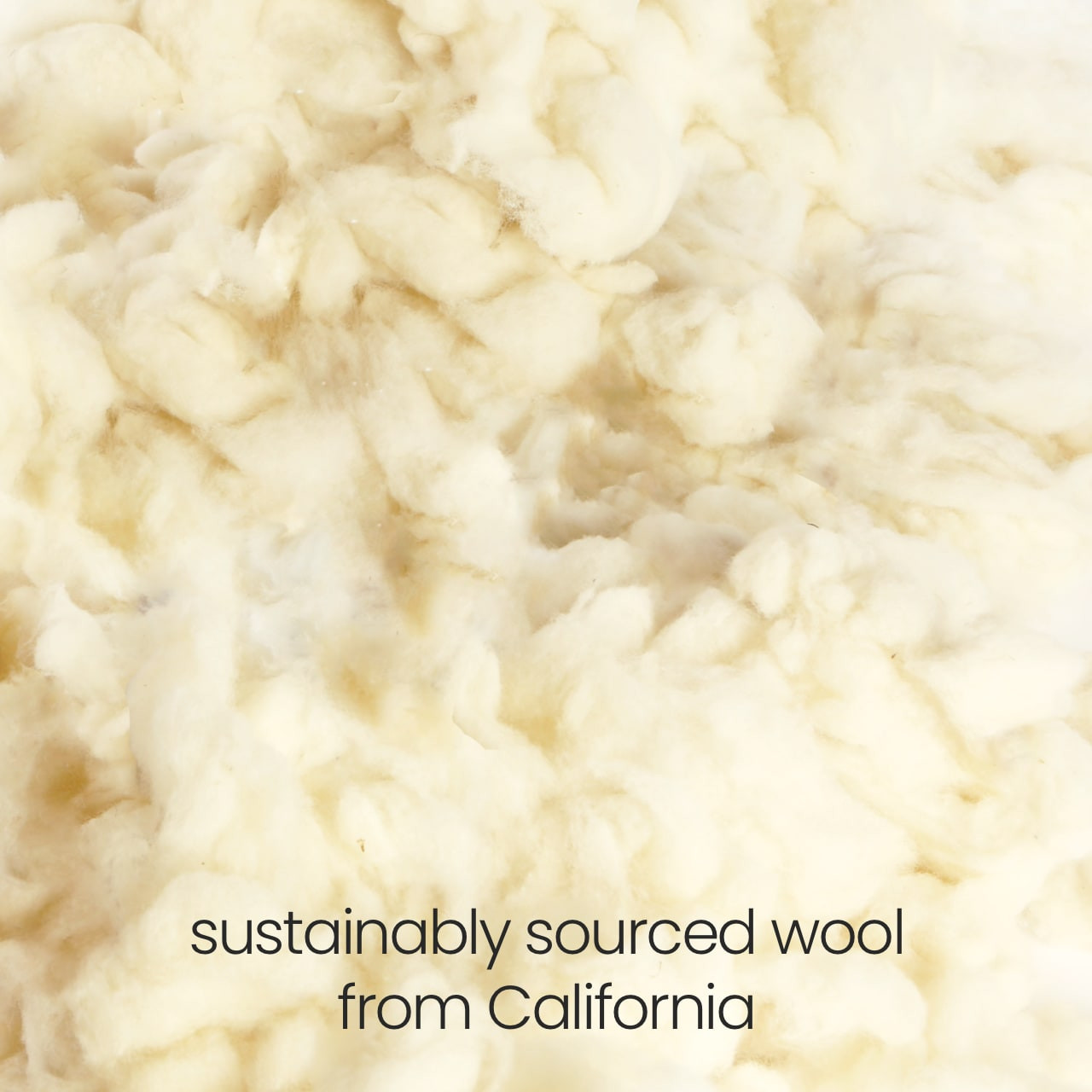 wool-filled pillow pack kit view 2